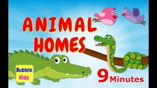 Learn About Different Animal Names And Homes  Animal Names And Homes For Kids [upl. by Jeannine]