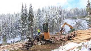 Logging 4 leaf logging [upl. by Jauch]