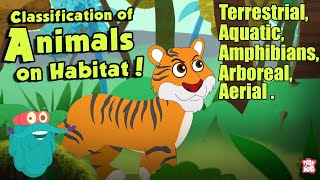 HABITAT OF ANIMALS  Classification Of Animals On Habitat  The Dr Binocs Show  Peekaboo Kidz [upl. by Kenna]