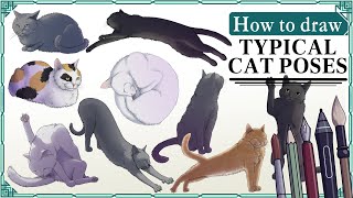 How to draw CATS in ANY POSE  Art Tutorial [upl. by Egoreg558]