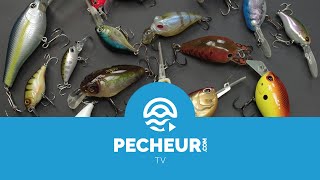 Quels leurres pour débuter la pêche des carnassiers  Tutoriel Pecheurcom [upl. by Gnoht318]