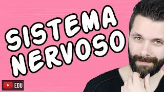 SISTEMA NERVOSO  FISIOLOGIA  Aula  Biologia com Samuel Cunha [upl. by Kean533]