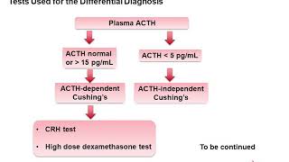 ACTH and Cortisol [upl. by Royall320]