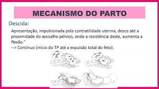 Mecanismos do parto [upl. by Venus577]