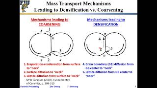 Ceramic Processing L719 Mass transport mechanisms determine densification vs coarsening [upl. by Giraldo487]