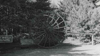 White Pine History Logging in Michigan [upl. by Darnok]