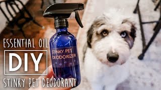 DIY Stinky Pet Deodorizer Spray [upl. by Moritz]