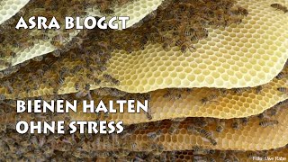 Bienen halten ohne Stress [upl. by Viridi453]