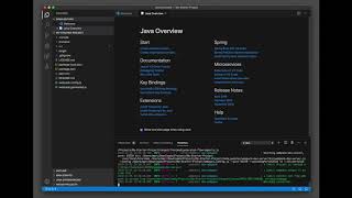 How to import and debug a Spring Boot Java Maven project in VS Code [upl. by Darnoc767]