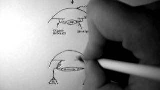 Ciliary Muscle Contraction [upl. by Odine610]