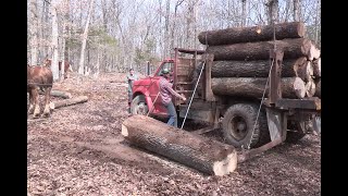 Horse Logging with Roy Pilgrim [upl. by Merrel784]