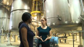 What Does a Chemical Engineer Do  Careers in Science and Engineering [upl. by Unni]