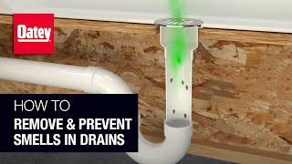 How to Remove and Prevent Smells in Drains [upl. by Judd]