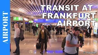 TRANSIT WALK AT FRANKFURT Airport FRA Terminal 1  Connection Flight Transfer Arriving amp Departing [upl. by Allyn]