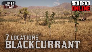 Blackcurrant Locations Red Dead Online [upl. by Husain]