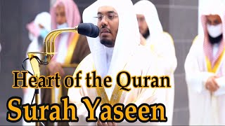 Surah Yaseen with English translation  Sheikh Yasser al Dossari Beautiful Recitation [upl. by Naitsirk]