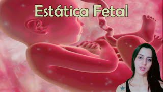 Estática Fetal Mecanismos do Parto e Discinesias [upl. by Isahella49]